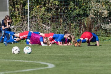 Bild 38 - wBJ HSV - SV Meppen : Ergebnis: 0:2